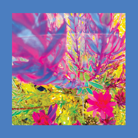 The Past is a Garden I Never Fed - The Reds Pinks and Purples