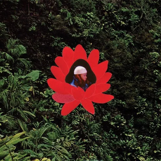 When the Flowers Bloom - Lionmilk