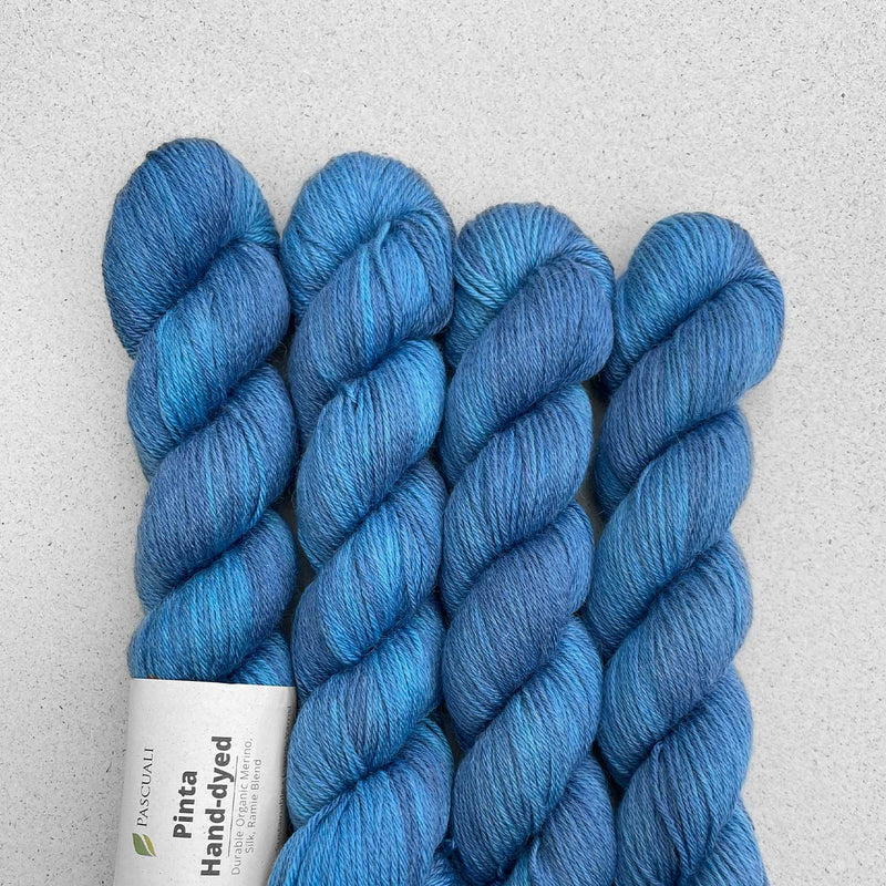 PINTA Hand dyed by Pascuali Echeveau de 50g/212m