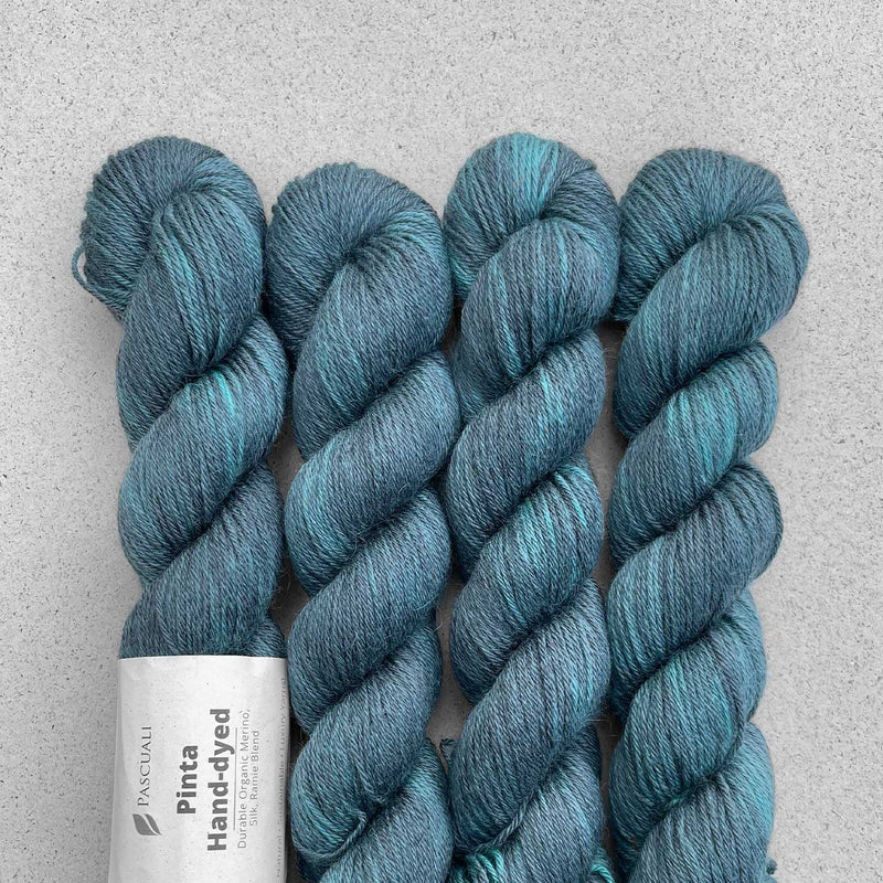 PINTA Hand dyed by Pascuali Echeveau de 50g/212m