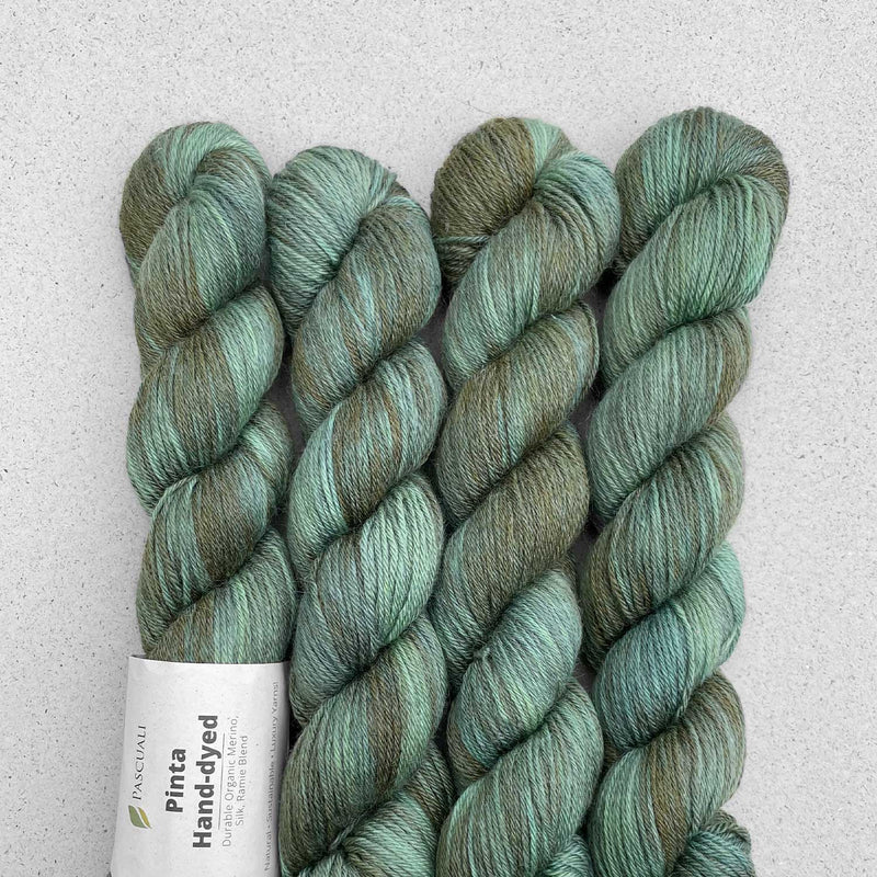 PINTA Hand dyed by Pascuali Echeveau de 50g/212m