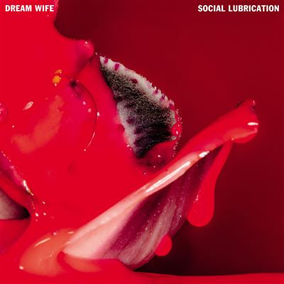Social Lubrication - Dream Wife