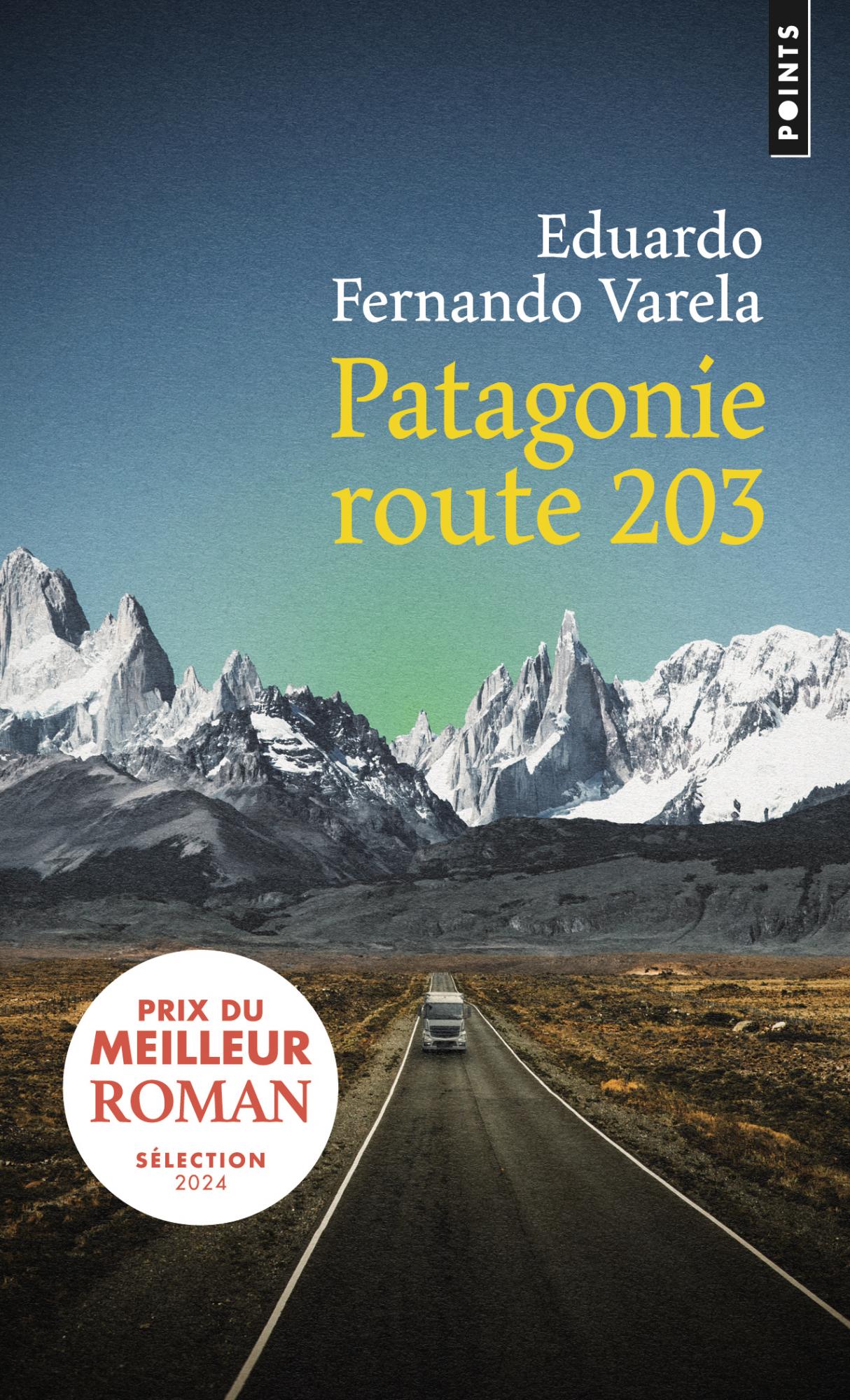 Patagonie route 203 - Eduardo Fernando Varela