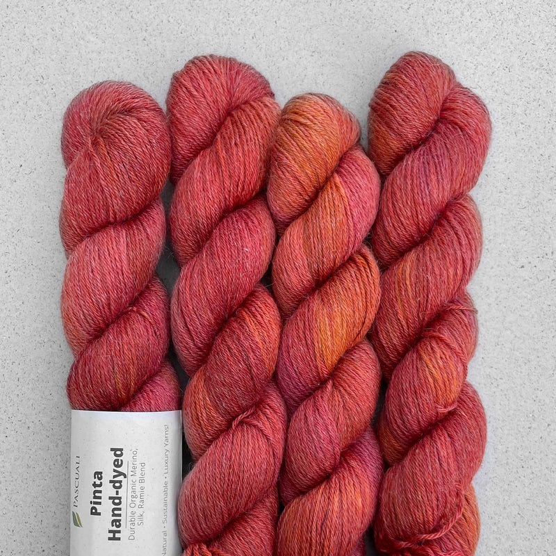 PINTA Hand dyed by Pascuali Echeveau de 50g/212m