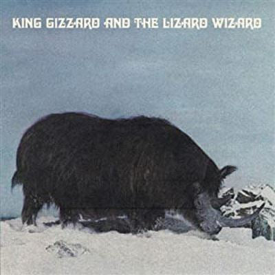 Polygondwanaland- King Gizzard and The Lizard Wizard