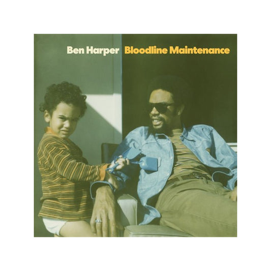Bloodline Maintenance - Ben Harper