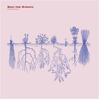 A New Kind Of Love - Ghost Funk Orchestra