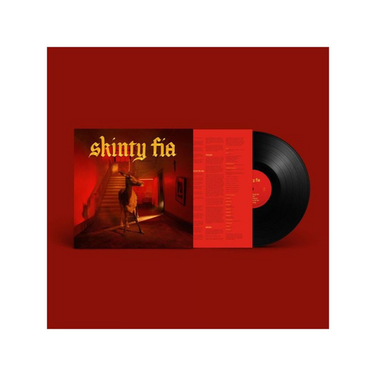 Skinty Fia - Fontaines DC