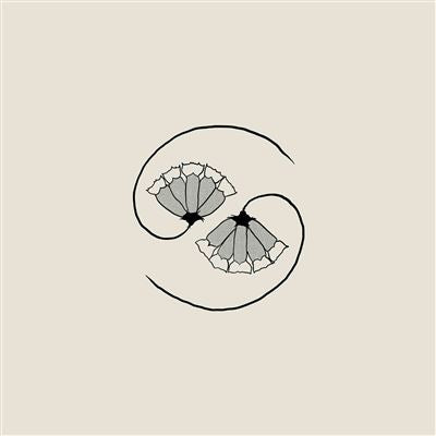 G_D’s Pee At State’s End ! - Godspeed You Black Emperor