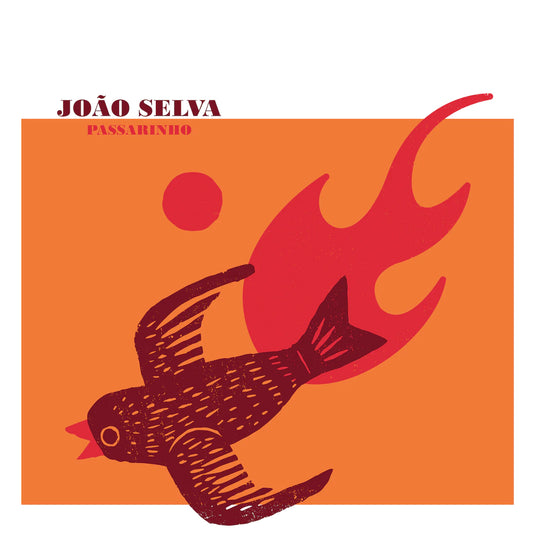 Passarinho - Joao Selva