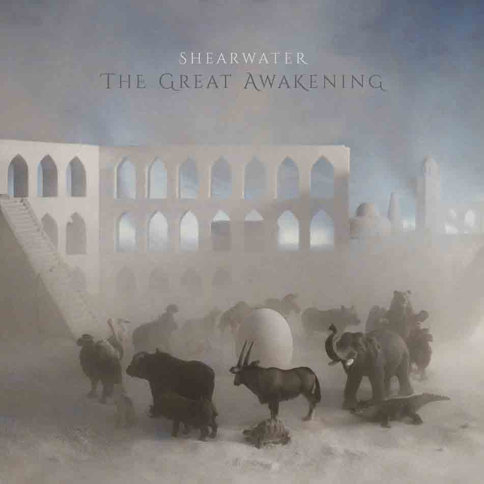 The Great Awakening- Shearwater
