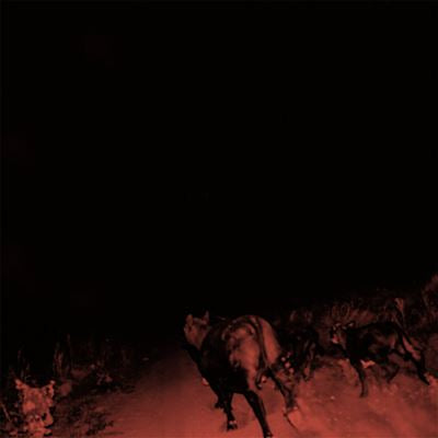 Shadow on Everything- Bambara