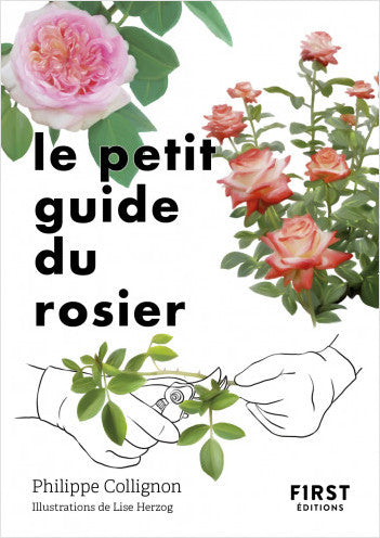 Le petit guide du rosier - Philippe Collignon / Lise Herzog