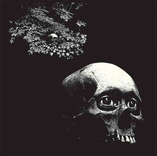 A Foul Form - Osees