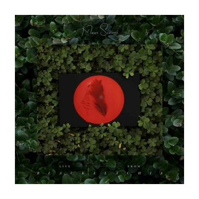 Live from blackalachia - Moses Sumney